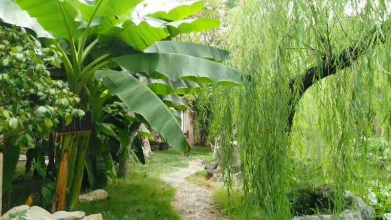 Suzhou Taoyuan International Holiday Hotel Екстериор снимка